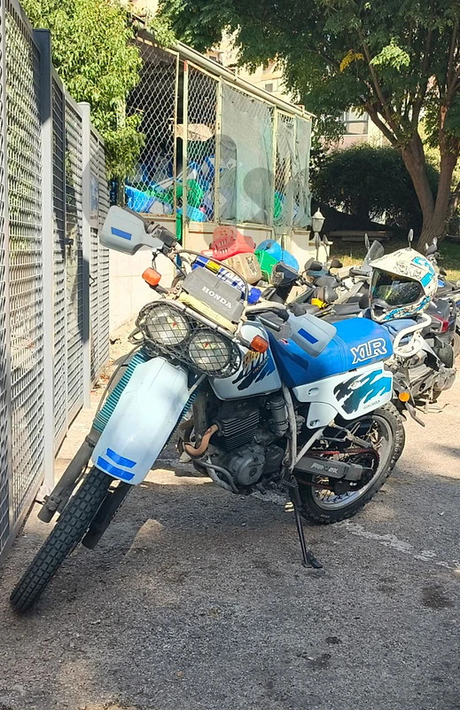 النبطية