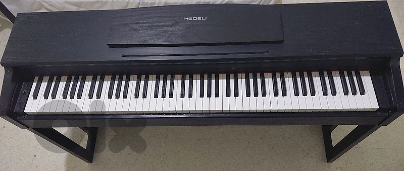 medeli up 81 (88keys)