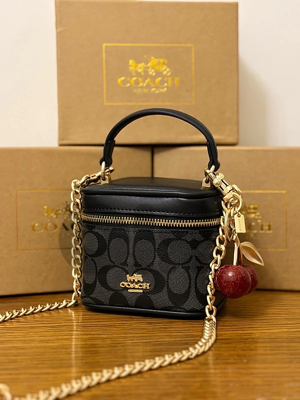 coach hand bag