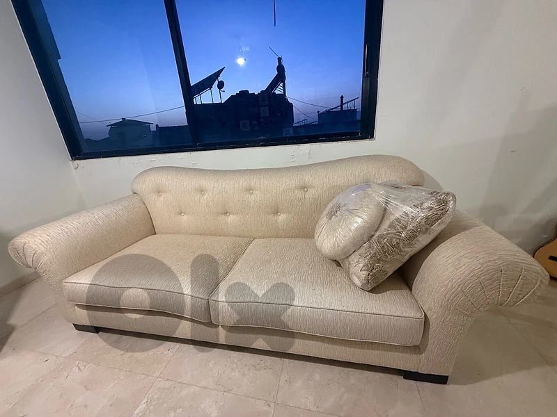 Classic Luxury Couch
