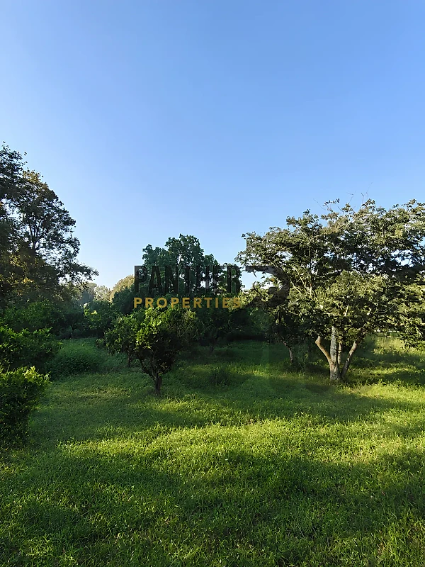 Land for sale in Batroun Rawabe Sea & Mountain Views Ref#FR115