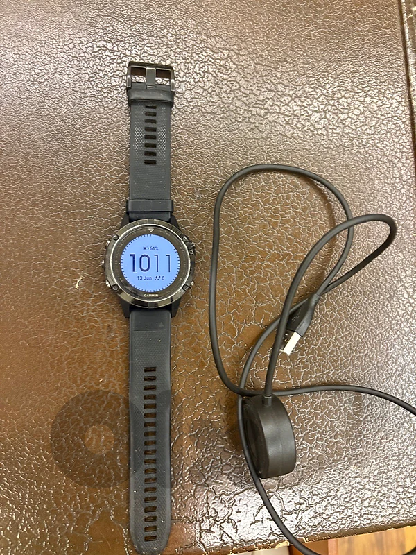 Garmin Fenix 6