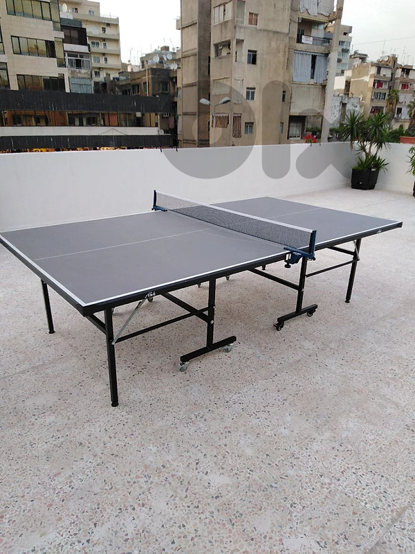 ping pong