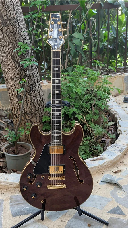 Aria Pro II TA-60 vintage hollow body electric guitar