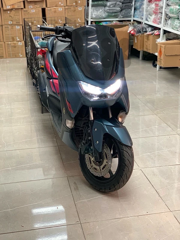 البازورية
