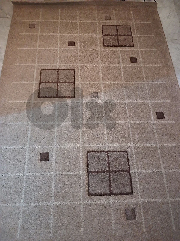 brown carpet for living room 160x235