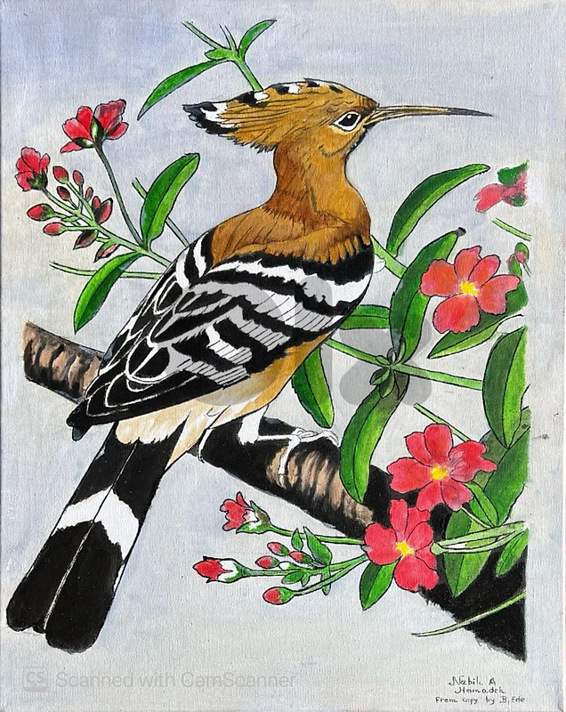 لوحات زيتية من اعمال الفنان التشكيلي - Oil painting by a Visual Artist