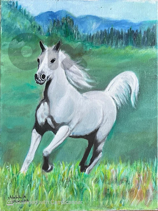 لوحات زيتية من اعمال الفنان التشكيلي - Oil painting by a Visual Artist