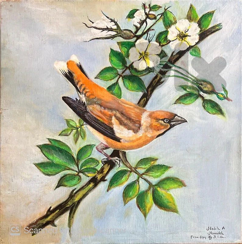لوحات زيتية من اعمال الفنان التشكيلي -Oil paintings by a Visual Artist لوحات زيتية من اعمال الفنان التشكيلي -Oil paintings by a Visual Artist