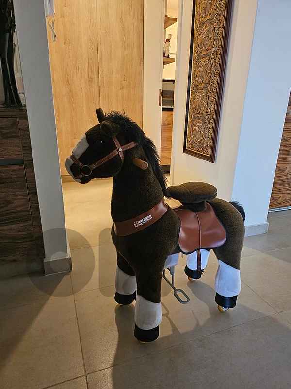pony cycle