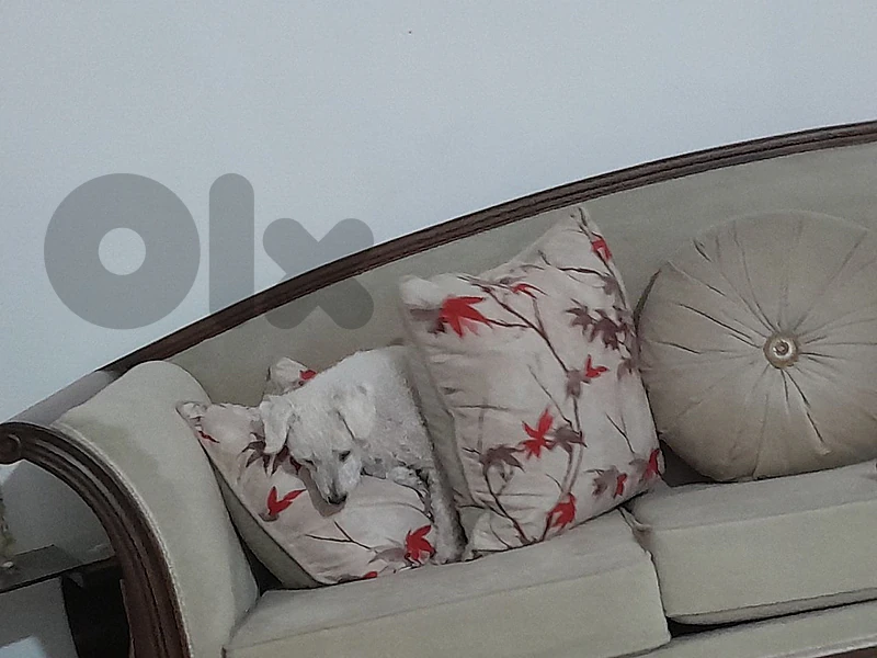 salon used metl jdid   wehde kbire wehde wasat tnayn zghar