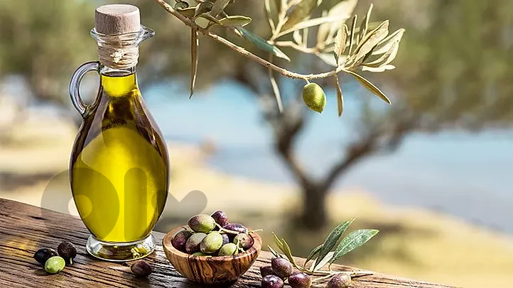 olive oil     %زيت زيتون صافي ١٠٠
