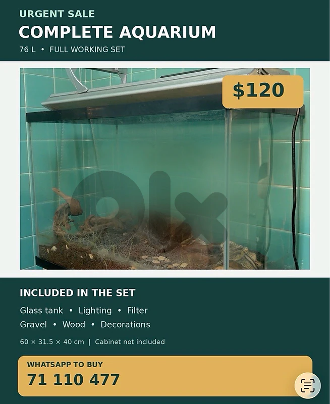 aquarium