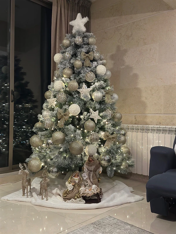 Christmas tree & decoration