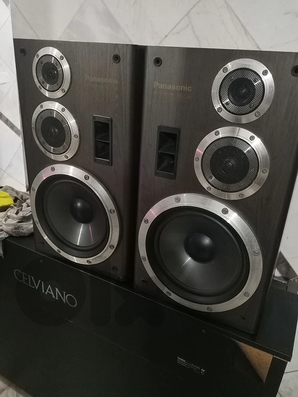 Panasonic speaker