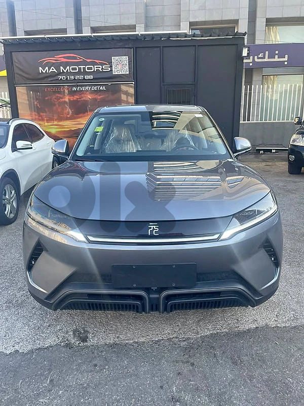 BYD Yuan Up 2024 BYD Yuan Up 2024
