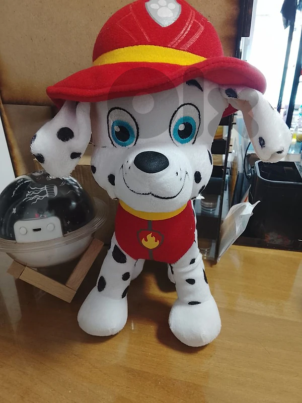 paw patrol