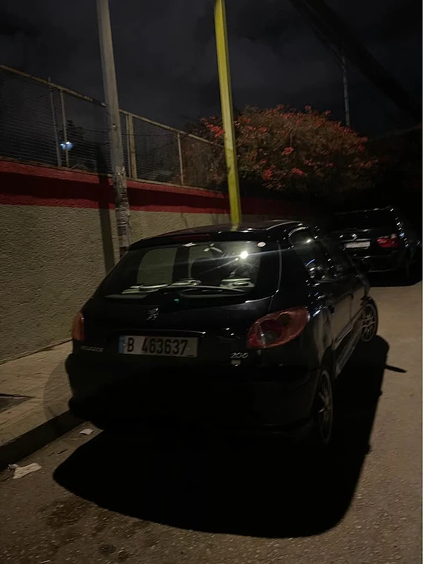 Peugeot 206 2004