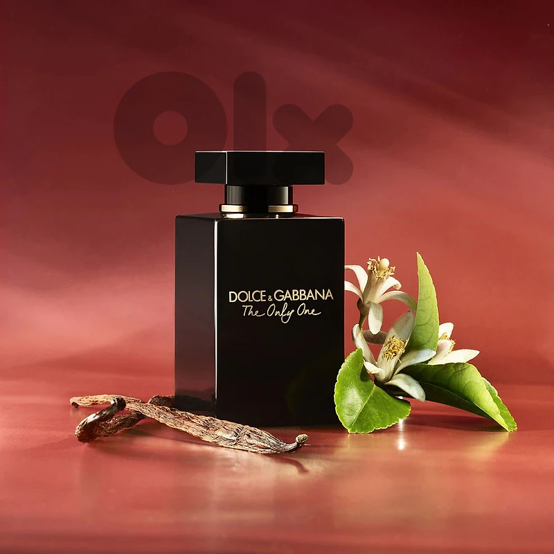 Dolce and Gabbana The Only One