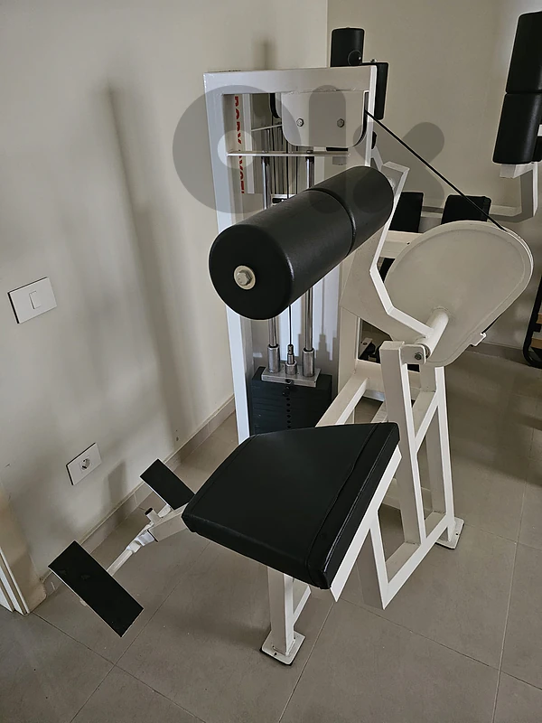 Back Muscle Equipment for Sell