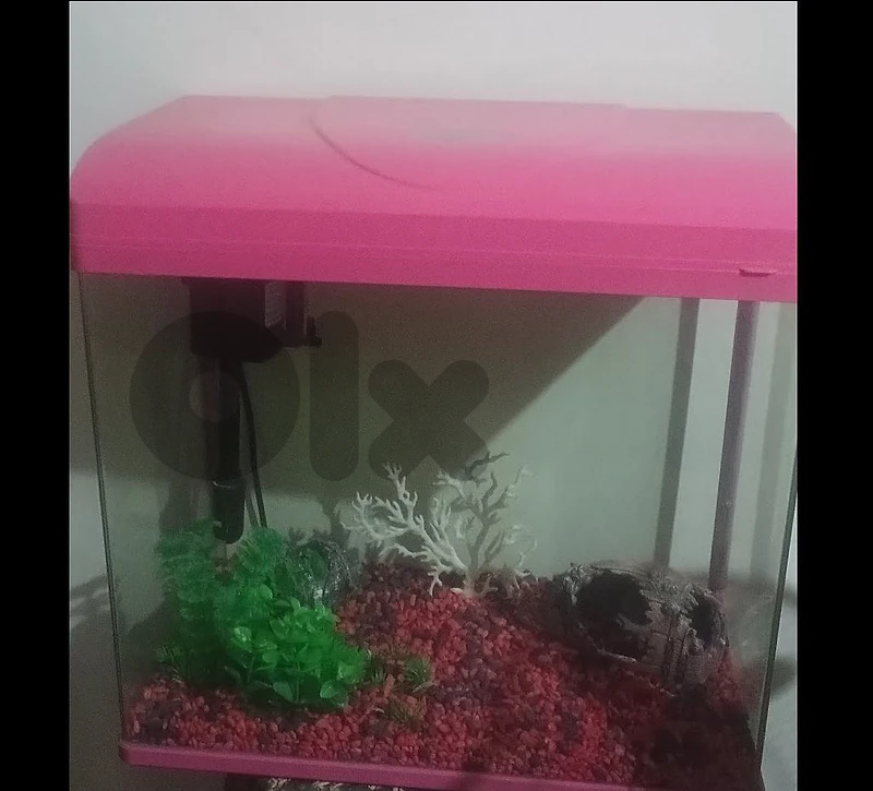 for sale