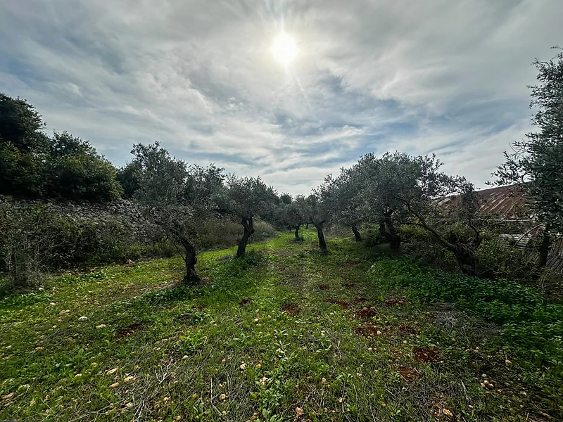 🌿 Land for Sale in Hamat – 1,500m² | 30% 60%