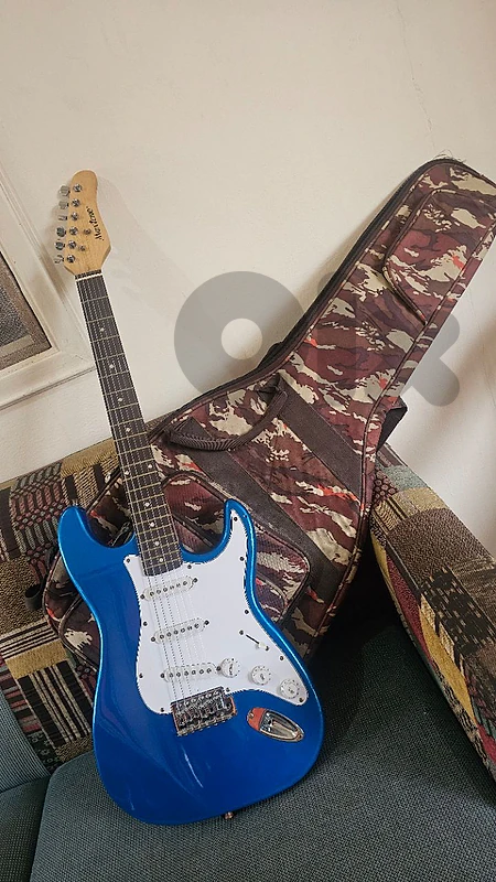 electric guitar + bag