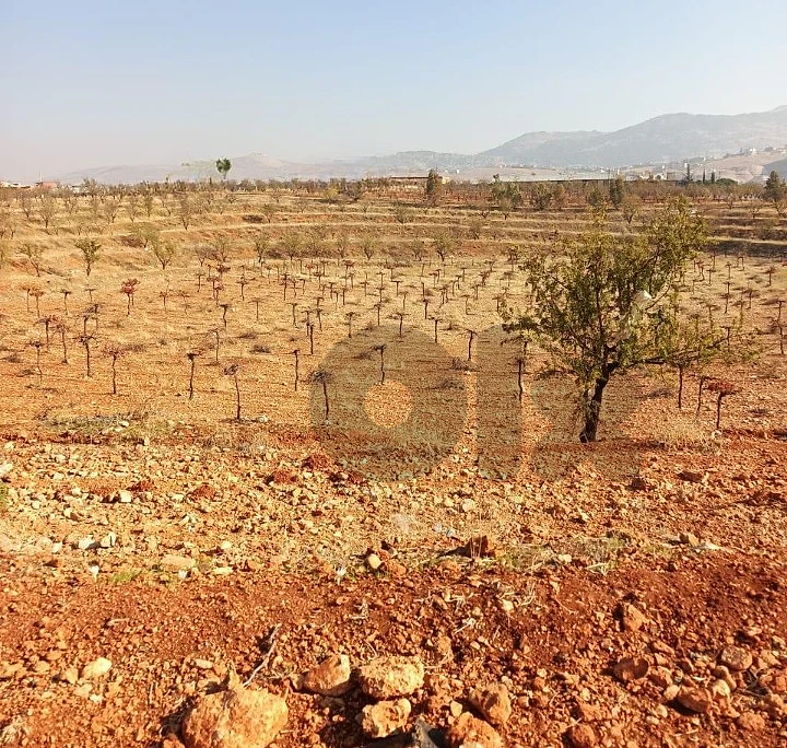 Land for Sale | Raiit, Bekaa