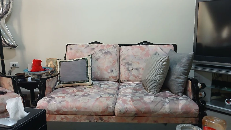 sofa and tables and tv