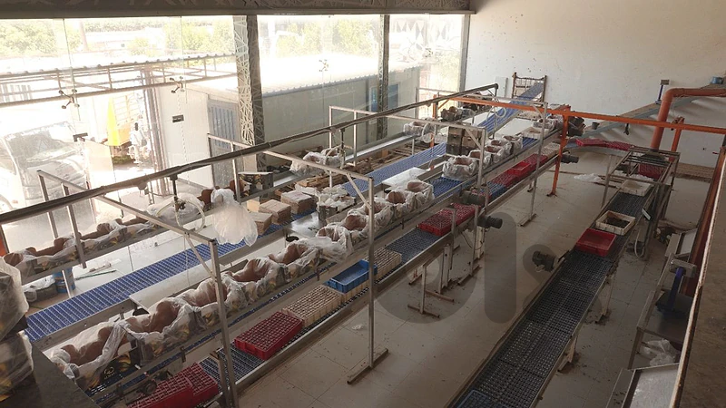 خط توضيب فواكه Fruit Packaging Line خط توضيب فواكه Fruit Packaging Line