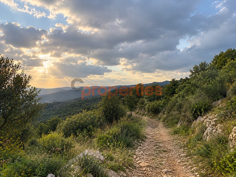 Land For Sale in Lehfed - Jbeil CPJRA01-ارض للبيع
