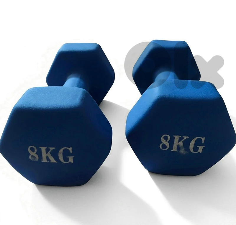 Pair of 8 kg Neoprene Dumbbells
