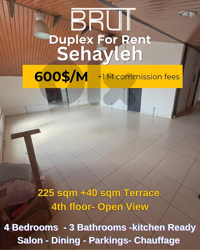 225 sqm +40 sqm Terrace Duplex for rent in sheileh