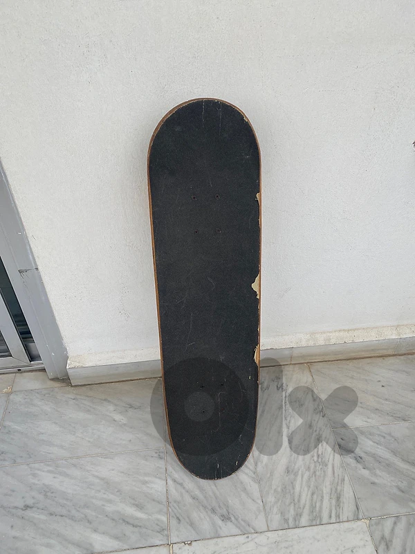 Skate Board
