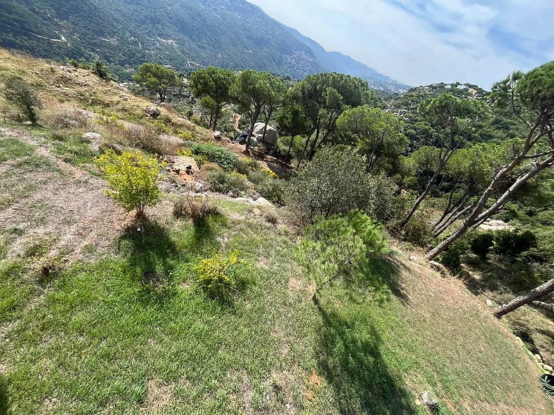 Land for rent in Al Kaakour أرض للايجار في القعقور