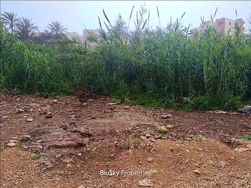 Land For SALE In Halat أرض للبيع #CA