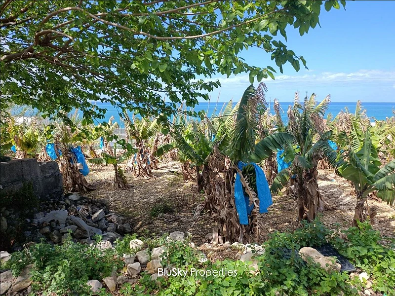 Land For SALE In Halat أرض للبيع #CA