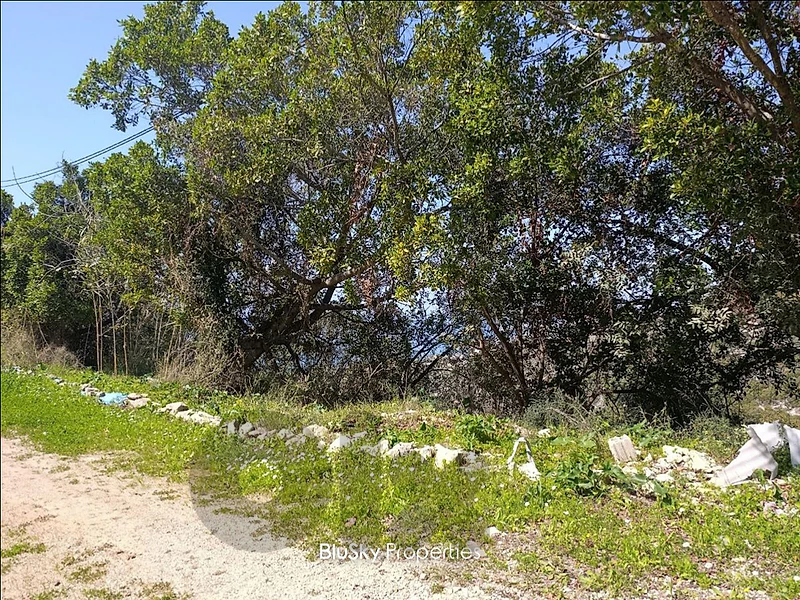 Land For SALE In Fidar أرض للبيع #CA