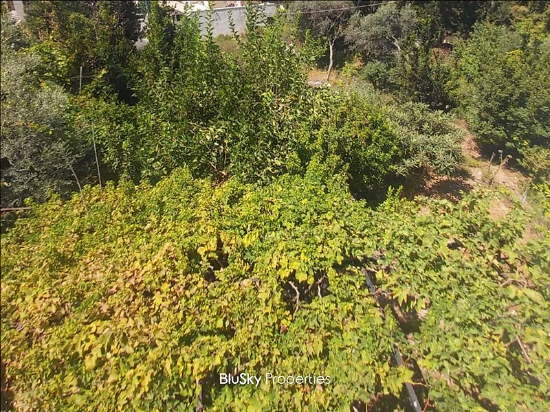 Land For SALE In Halat أرض للبيع #CA