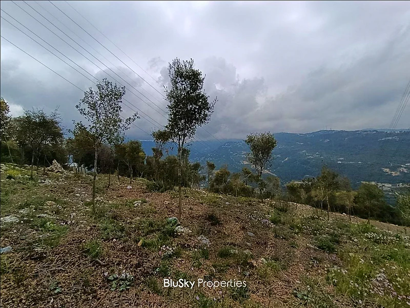Land For SALE In Fatre أرض للبيع #CA Land For SALE In Fatre أرض للبيع #CA