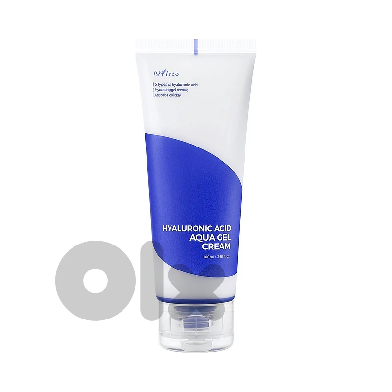 Isntree Hyaluronic Acid Aqua Gel Cream 100 mL