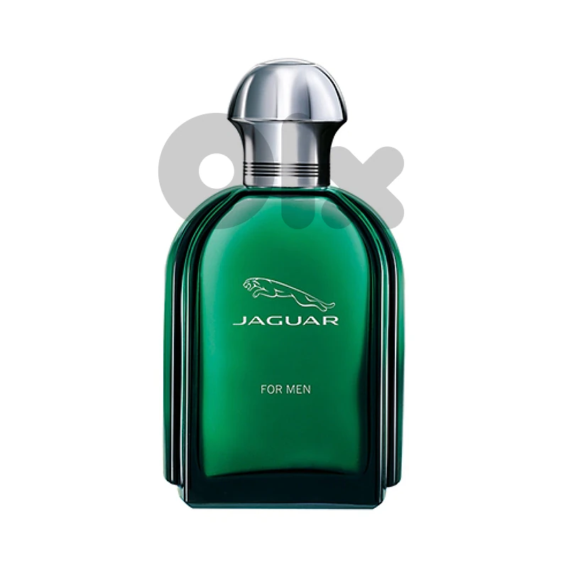 Jaguar For Men Eau de Toilette 100 mL – For Men
