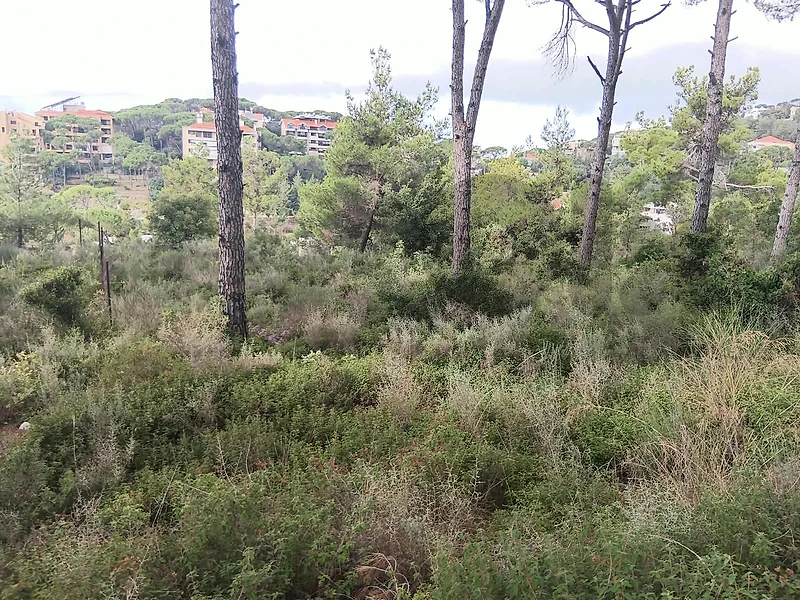 Land For Sale in Baabdat Land For Sale in Baabdat
