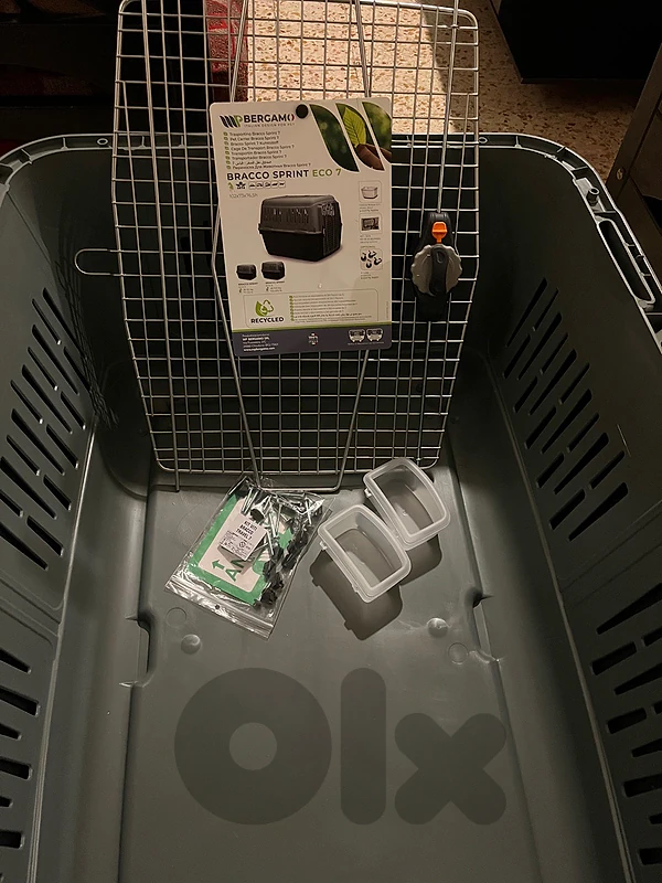 pet accessories