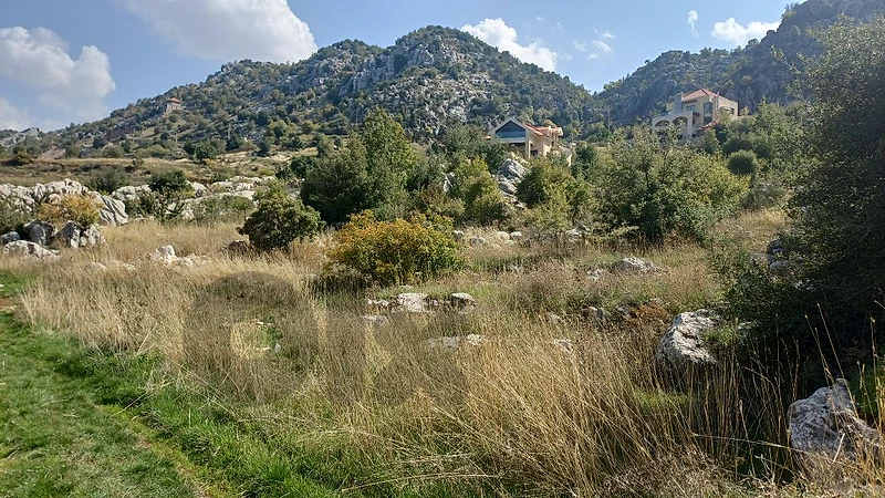 land for sale in Douma أرض "لقطة" للببع في دوما land for sale in Douma أرض "لقطة" للببع في دوما