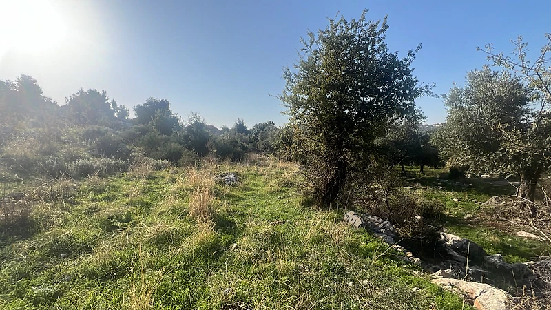 RWB199RH -  - Land for sale in assia Batroun with Mountains view.