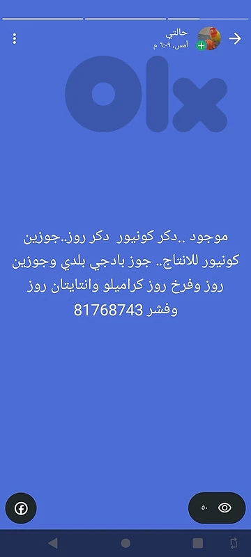 الشياح