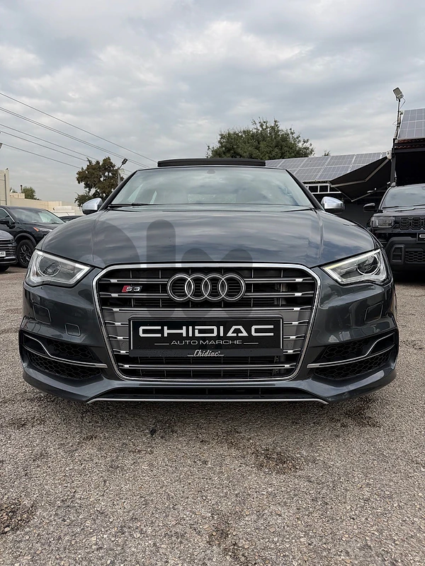 Audi S3/RS3 2016 Audi S3/RS3 2016