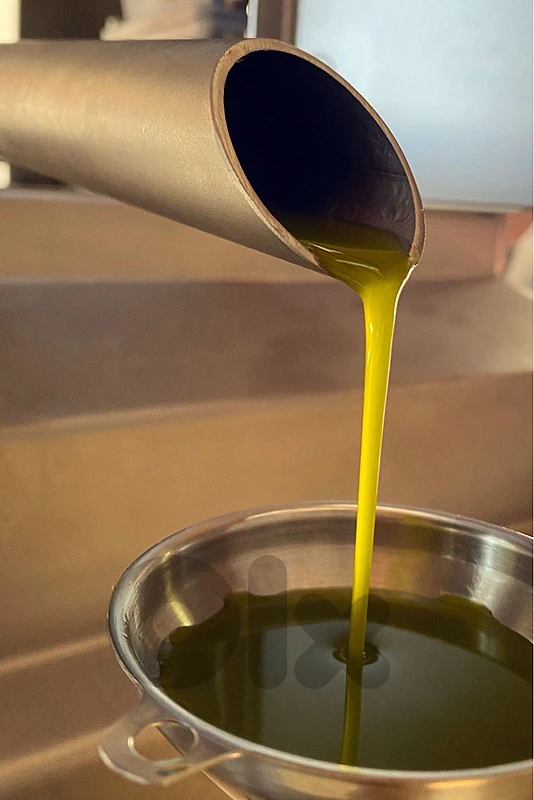 EXTRA EXTRA VIRGIN Olive Oil Red Soil Land