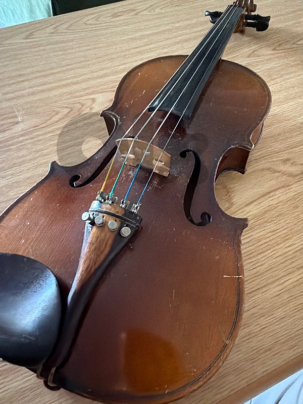 sweet and melting sound violin